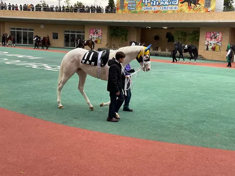 競走馬とジェントルマン