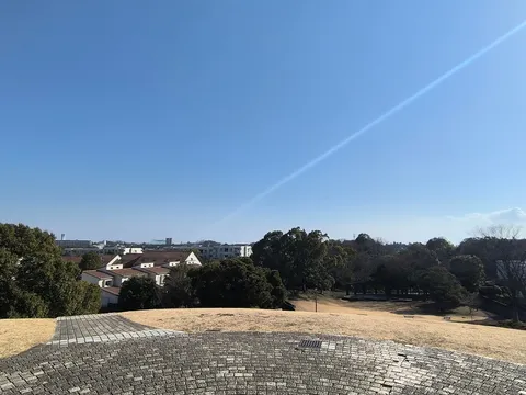 広がる空と緑のグラデーション