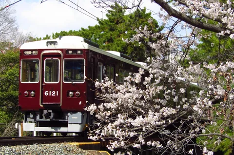 桜の向こうを走る赤い車両