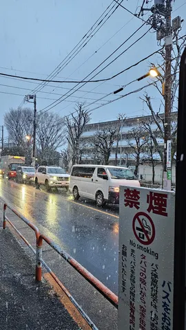 雪降る街の静かなる停車