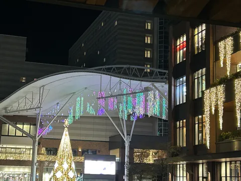 幻想的な光が彩る夜のクリスマス