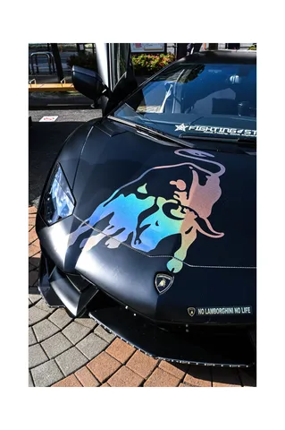 漆黒の車体に映えるグラフィック