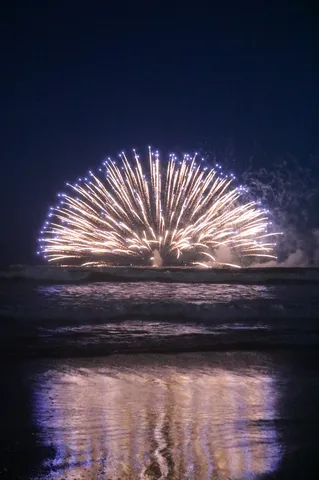 海辺に咲いた光の花