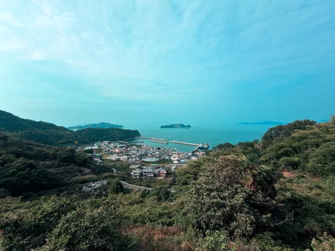 緑に抱かれた港町の海