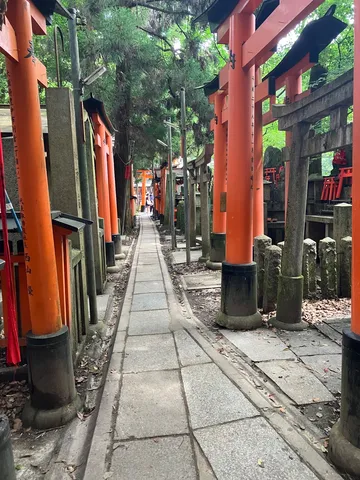 赤い鳥居が並ぶ静かな路