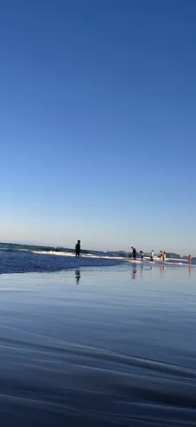 波間に浮く静かな影