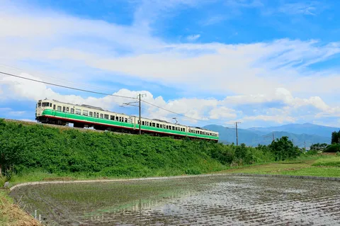 緑あふれる丘を駆け抜ける列車