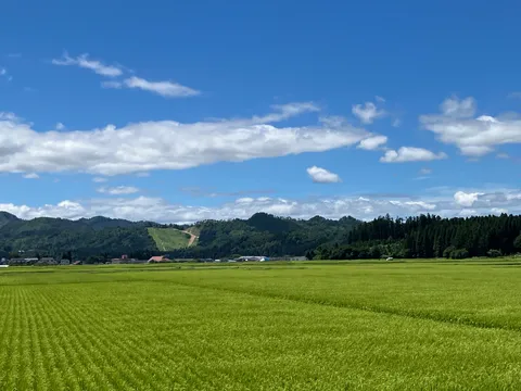 夏空と緑の絨毯、遠くに山の緑