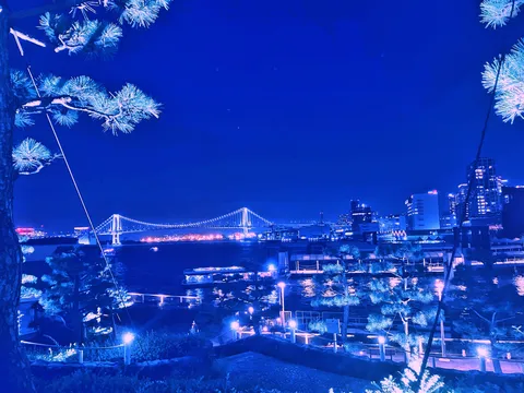 真夜中のブルートレイン