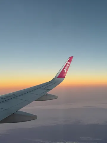 空と翼のグラデーションフライト