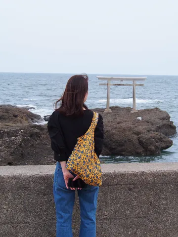 海辺の鳥居に佇む後ろ姿