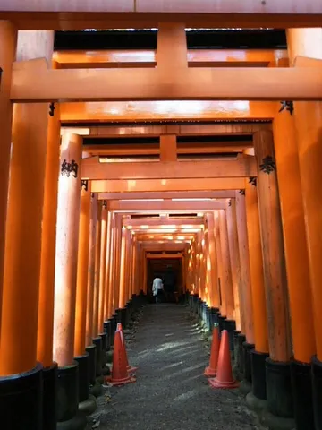 朱色の鳥居が誘う神秘の道