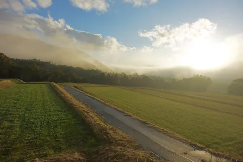 霧まぶしい里の道