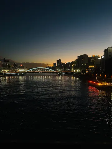 都会の灯りが水面を染める夜景