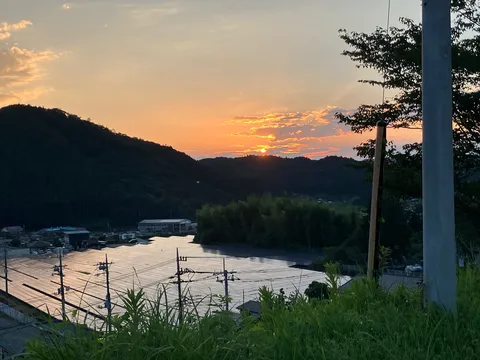 夕陽に照らされるソーラーパネル