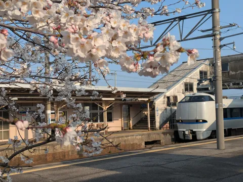 花降る駅舎、旅路を待つ