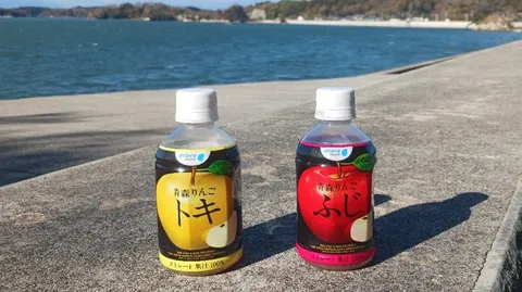 潮風と、選ばれし林檎の雫