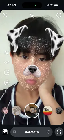 フィルター越しのダルメシアン