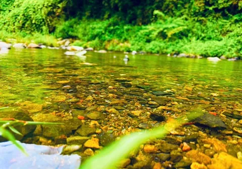 水底の宝石散歩道