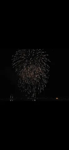 夜空を彩る大輪の花火
