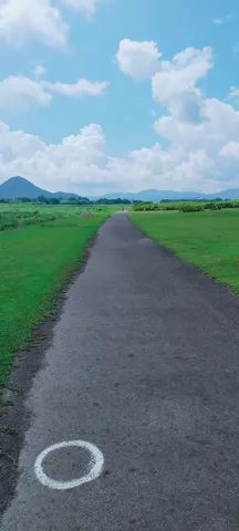 青空と緑の道、どこまでも続く未来