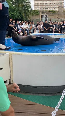 水面に浮かぶ拍手の輪