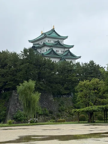 苔むす古城と緑の絨毯