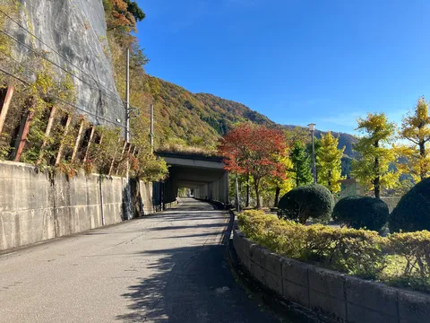 トンネルへ続く秋色ロード