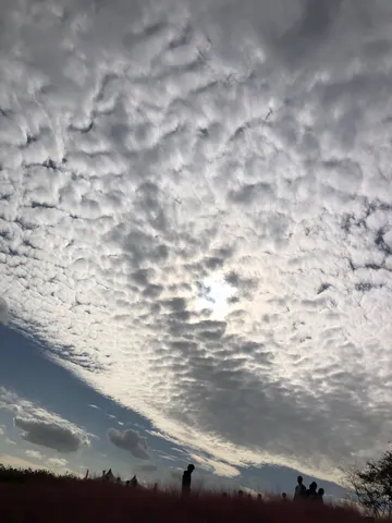 雲の絨毯と地上のシルエット