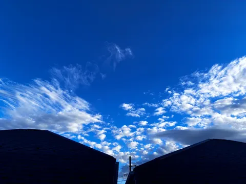 青空と屋根のあいだ