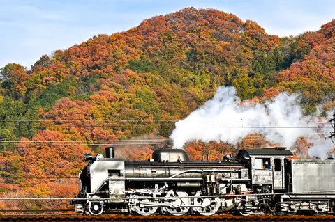 秋山を彩る煙モクモク号