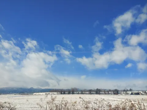 山形の雪