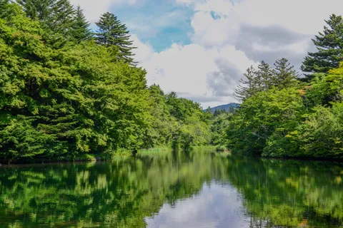 静寂の緑、湖面への映り込み