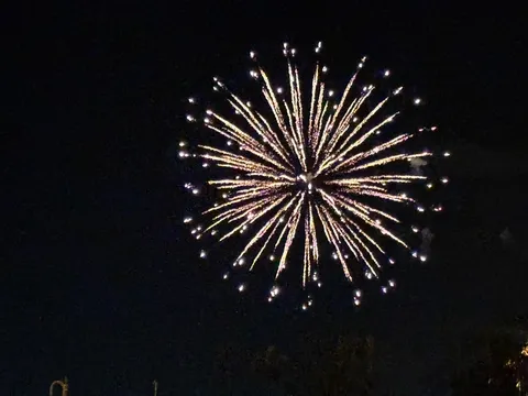 夜空に花開く光の球