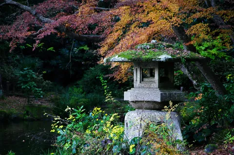 静寂に佇む、秋色の灯籠