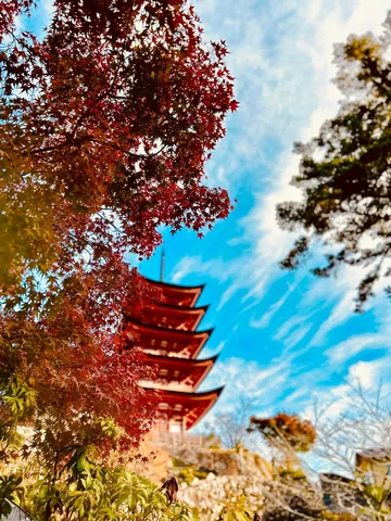 紅葉と五重塔のコントラスト