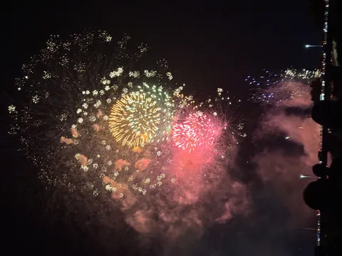 夜空に咲き誇る豪華絢爛な花火