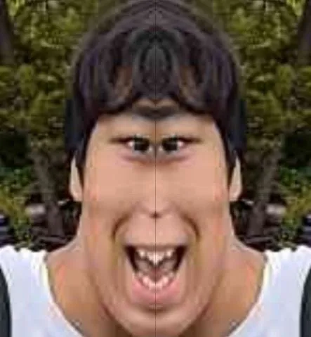 左右対称のユニークな表情