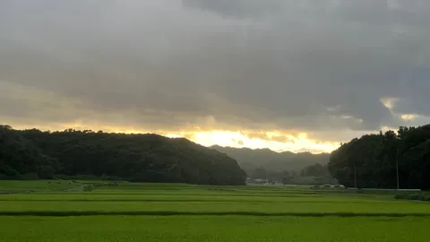 雨上がりの田園風景、静かな光景