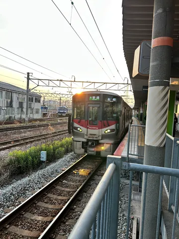 夕陽がヘッドライト？