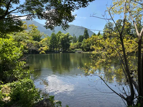湖畔の涼風映す木陰