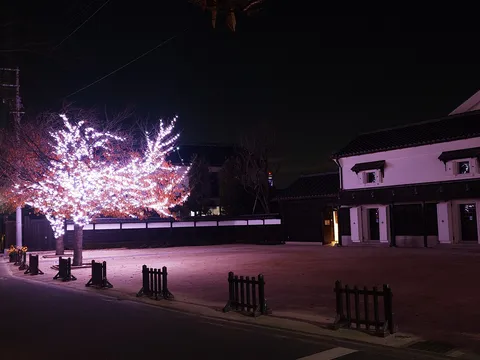 煌めく木漏れ日、静寂の夜