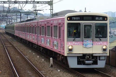 ピンク色の電車、回送運行中
