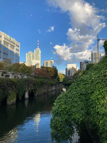 水面に映る都市の風景