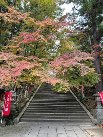 紅葉の石段、ついつい見上げちゃう