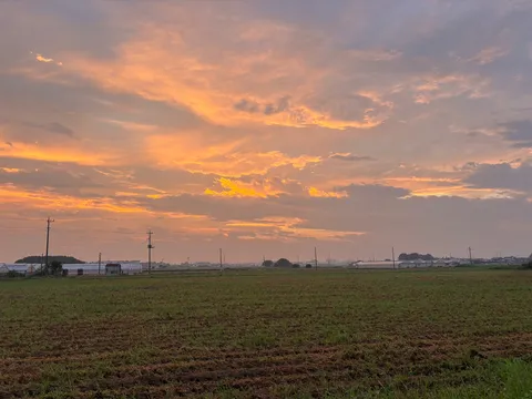 夕焼けに染まる田園風景