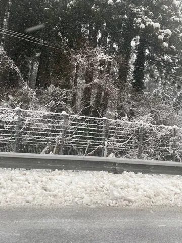 吹雪の fence art