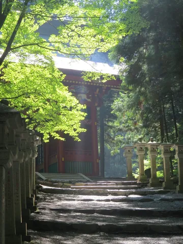 木漏れ日と石畳の静寂