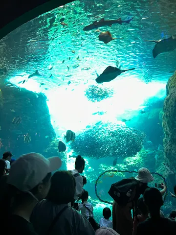 光の渦に包まれる水槽
