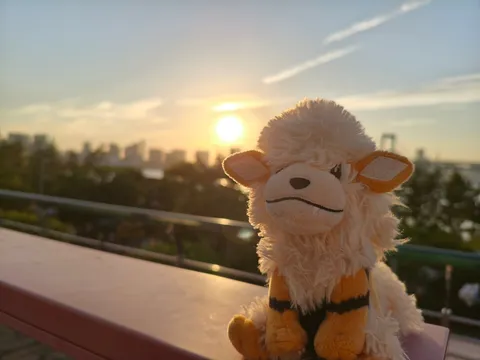 夕陽に染まる相棒